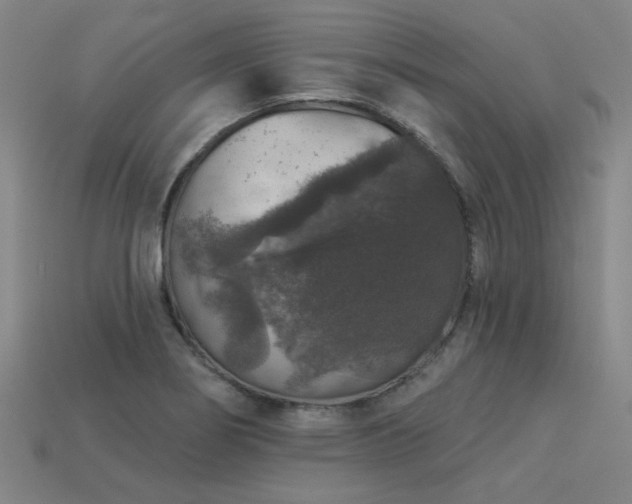 X0000113281274200909141218