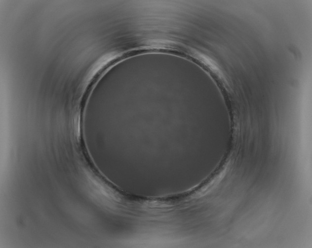 X0000113281275200909141217