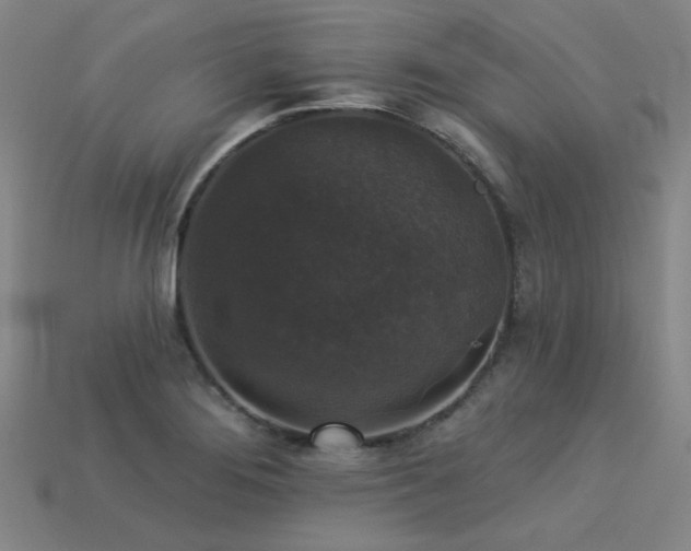 X0000113281276200909141217