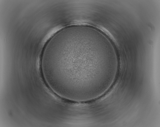 X0000113281277200909141217