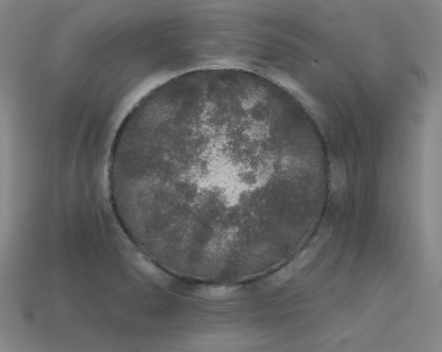 X0000113281278200909141217