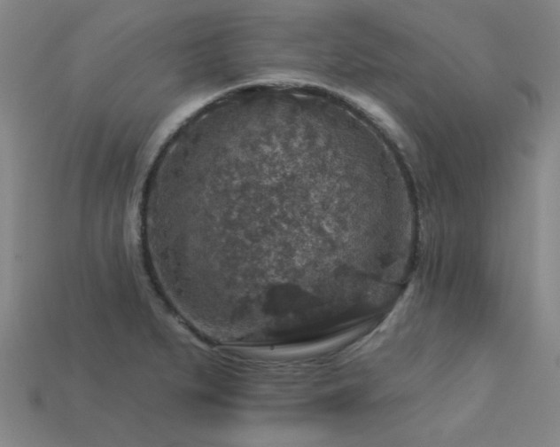 X0000113281279200909141217