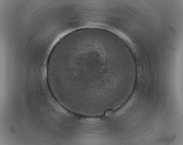 X0000113281280200909141217