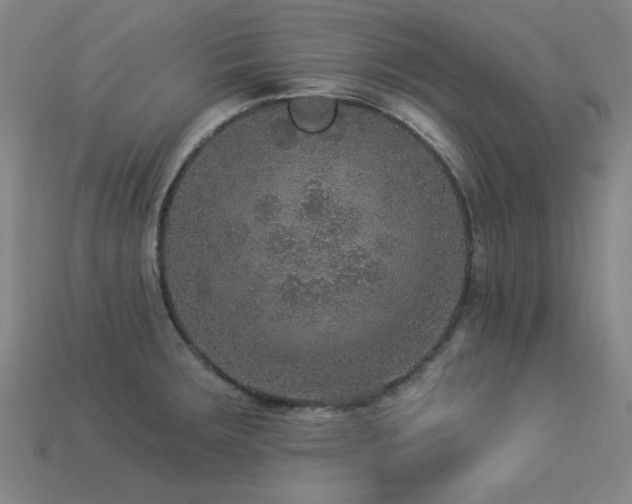 X0000113281283200909141217