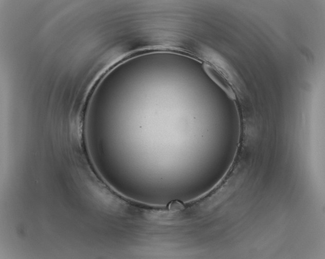 X0000113281284200909141217