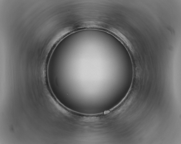 X0000113281285200909141217