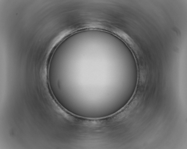 X0000113281286200909141217