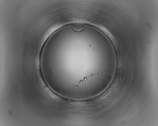 X0000113281287200909141217