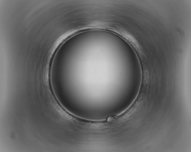 X0000113281288200909141217