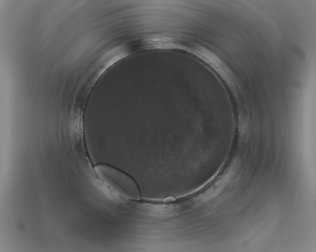 X0000113281289200909141217