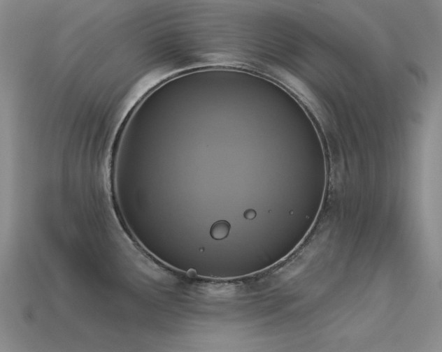 X0000113281291200909141217