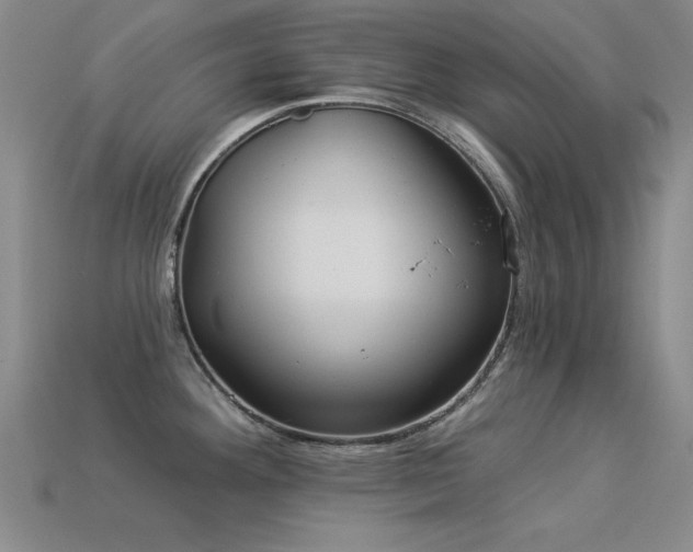 X0000113281292200909141217