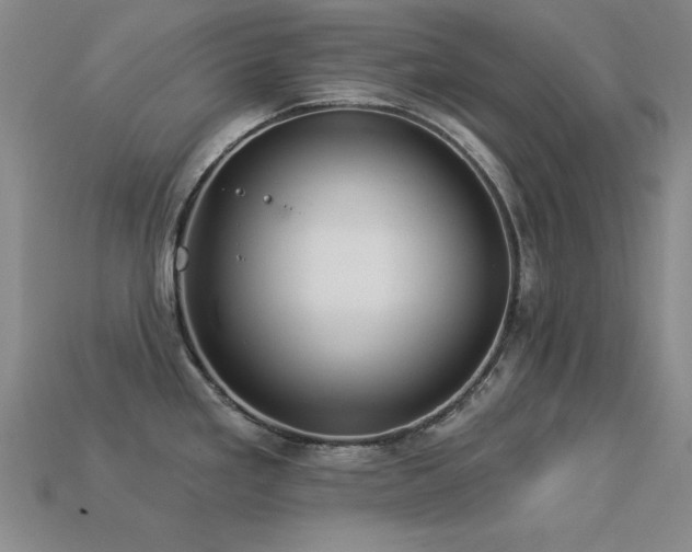 X0000113281293200909141217