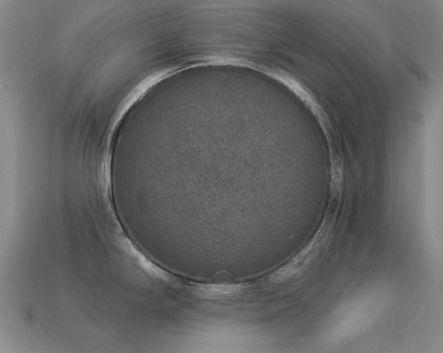 X0000113281294200909141217