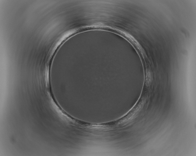 X0000113281295200909141217