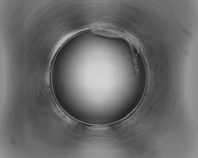 X0000113281296200909141217