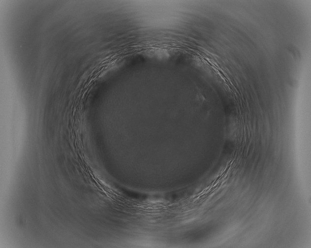 X0000113281297200909141217