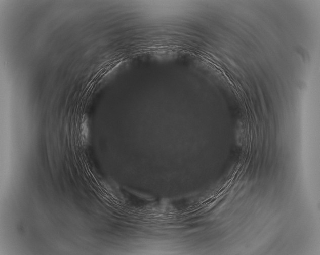 X0000113281298200909141217