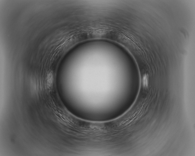 X0000113281299200909141217