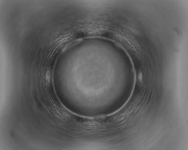 X0000113281300200909141217