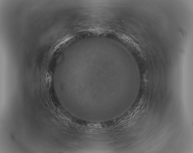 X0000113281302200909141217