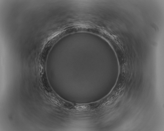 X0000113281303200909141217