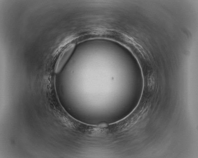 X0000113281304200909141217