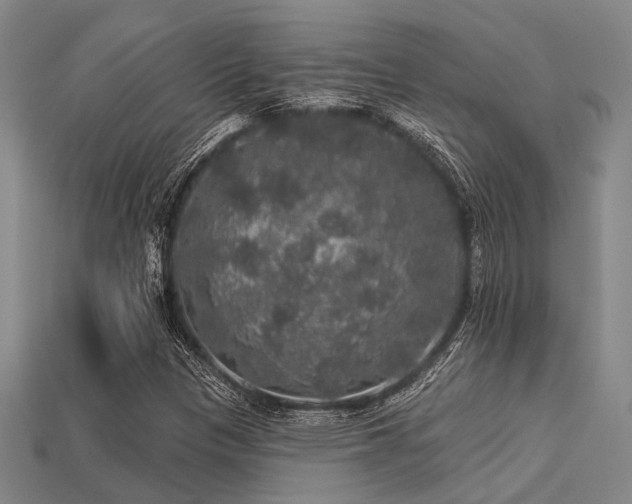 X0000113281305200909141217