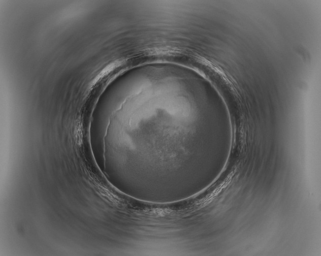 X0000113281306200909141217