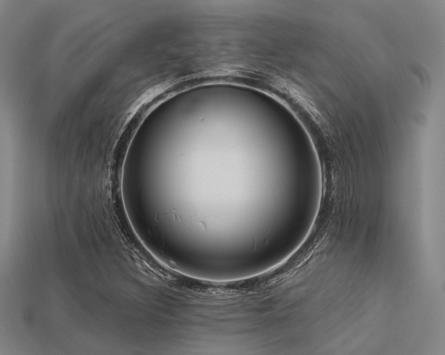 X0000113281308200909141217