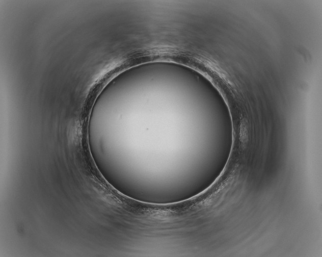 X0000113281309200909141217