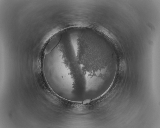 X0000113281310200909141217