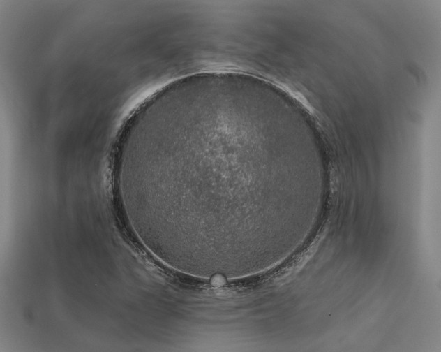 X0000113281311200909141217