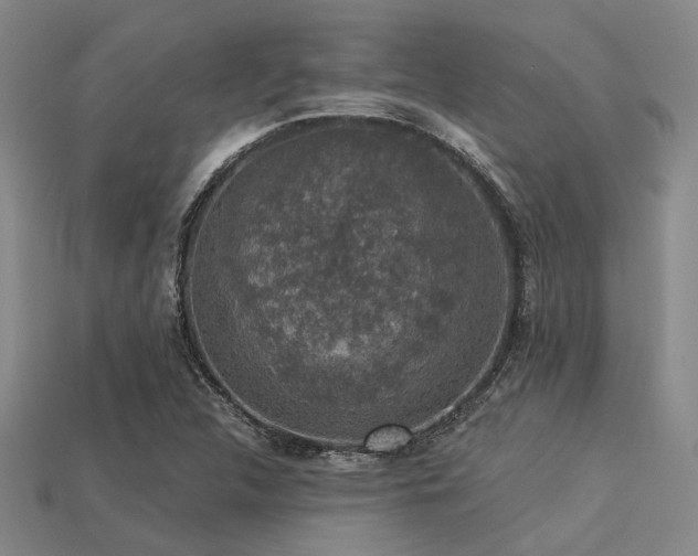 X0000113281312200909141217