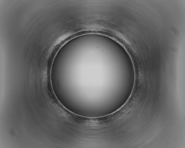 X0000113281315200909141217