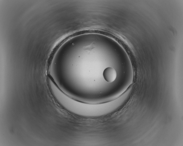 X0000113281316200909141217