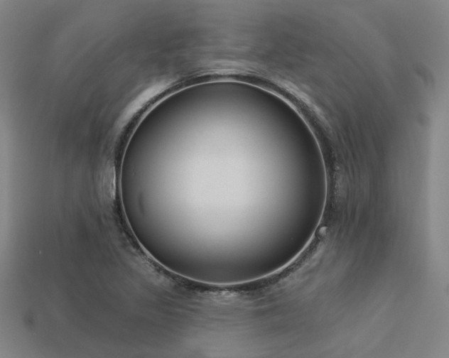 X0000113281317200909141217