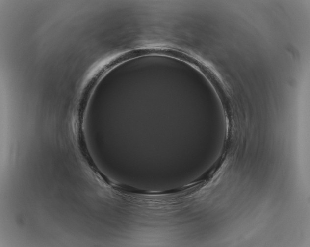 X0000113281319200909141217