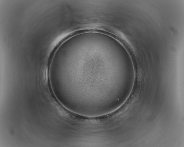 X0000113281320200909141217