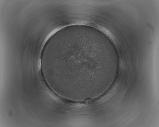 X0000113281324200909141217