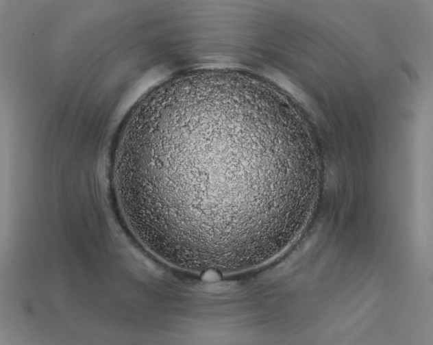 X0000113281325200909141217