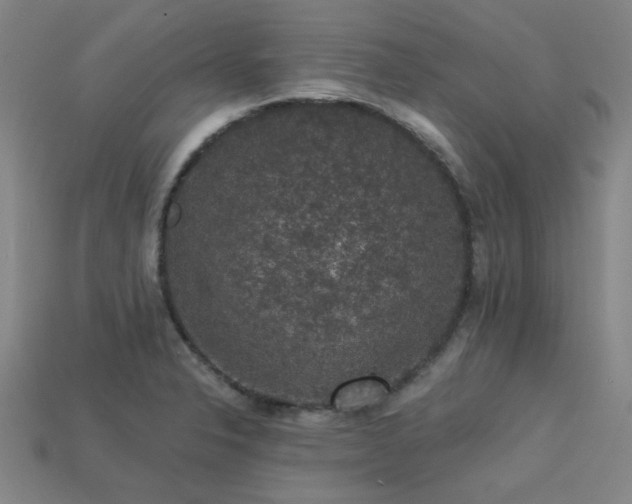 X0000113281326200909141217