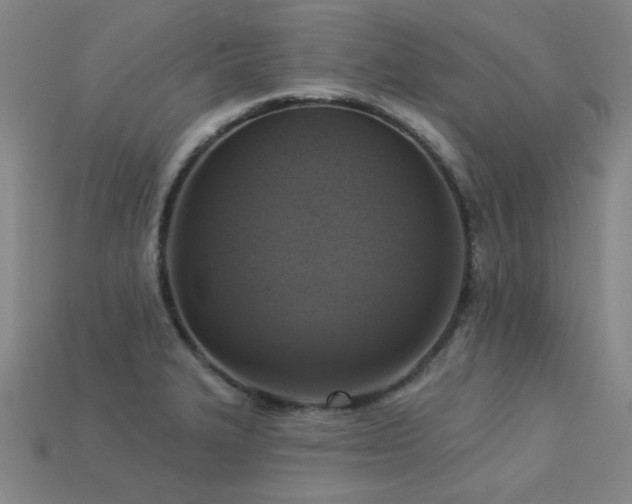 X0000113281327200909141217