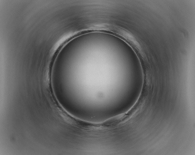 X0000113281328200909141217