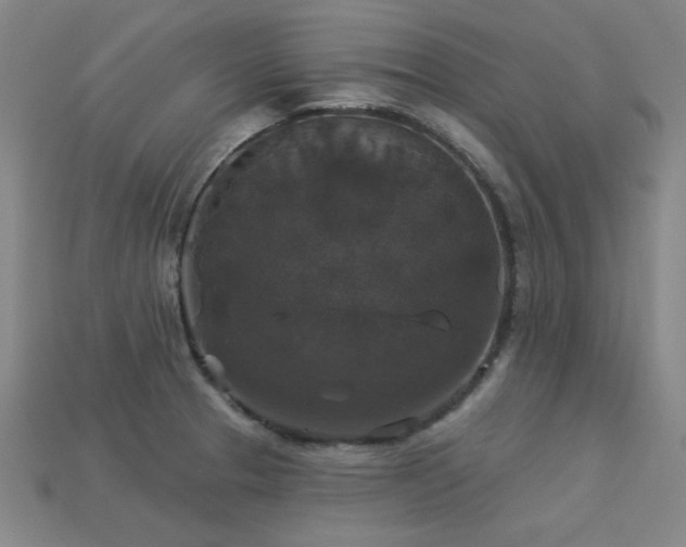 X0000113281329200909141217