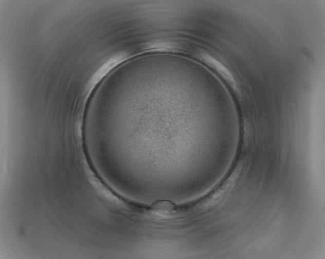 X0000113281330200909141217