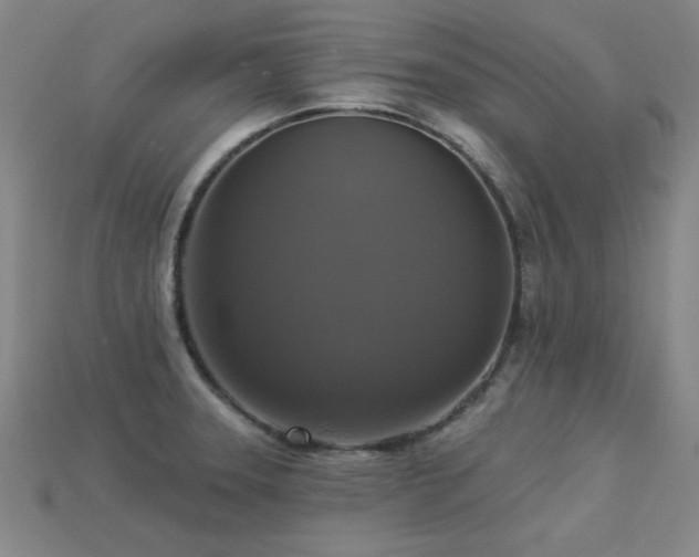 X0000113281331200909141217