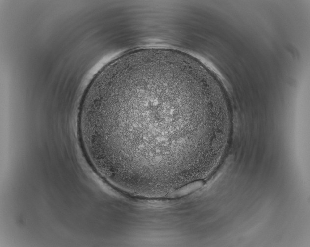 X0000113281333200909141217