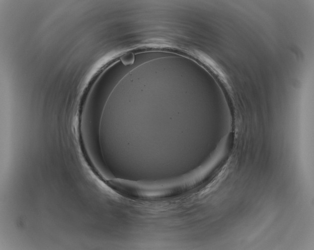 X0000113281334200909141217