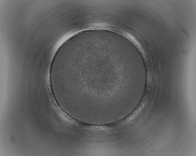 X0000113281336200909141217